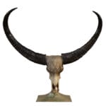 Call Store at 415-419-5012 option 2.